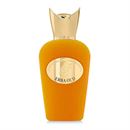 SOSPIRO Erba Oud EDP 100 ml